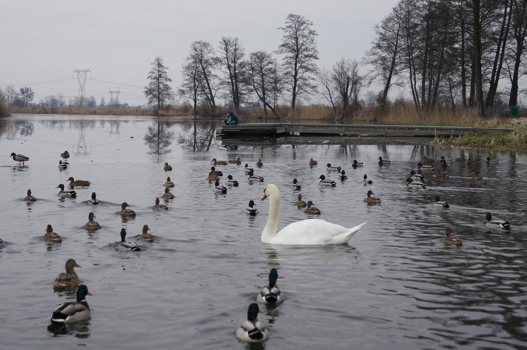 Krysztalowy Palacyk Kozienice Esterno foto